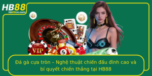 A Ga Cua Tron Nghe Thuat Chien Au Inh Cao Va Bi Quyet Chien Thang Tai Hb88