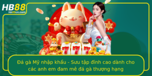 A Ga My Nhap Khau Suu Tap Inh Cao Danh Cho Cac Anh Em Am Me A Ga Thuong Hang