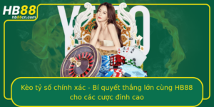 Keo Ty So Chinh Xac Bi Quyet Thang Lon Cung Hb88 Cho Cac Cuoc Inh Cao