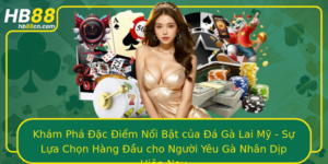 Kham Pha Ac Iem Noi Bat Cua A Ga Lai My Su Lua Chon Hang Au Cho Nguoi Yeu Ga Nhan Dip Hien Nay