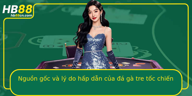 Nguồn gốc và lý do hấp dẫn của đá gà tre tốc chiến