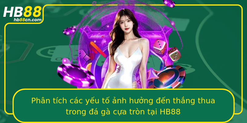 Phân tích các yếu tố ảnh hưởng đến thắng thua trong đá gà cựa tròn tại HB88